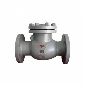 DN50 PN25 介質(zhì)：甲胺，溫度：80℃止回閥